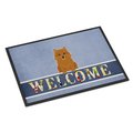 Carolines Treasures 18 x 27 in. Norwich Terrier Welcome Indoor or Outdoor Mat BB5601MAT